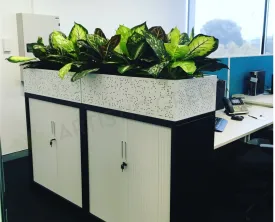 CrossCorp Business Advisors - Dieff. Plants for Tambour Units