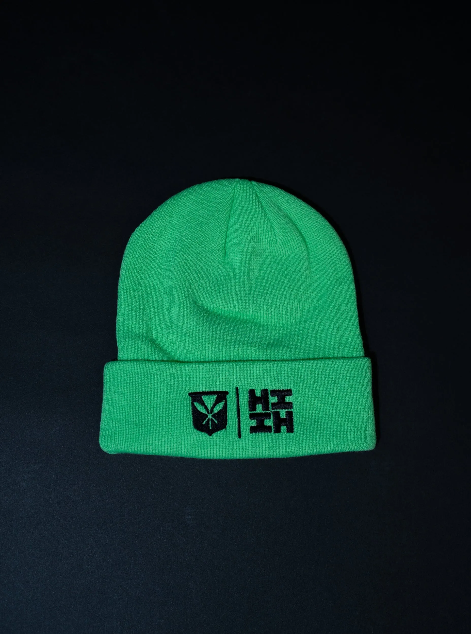 MINT SIMPLE LOGO BEANIE