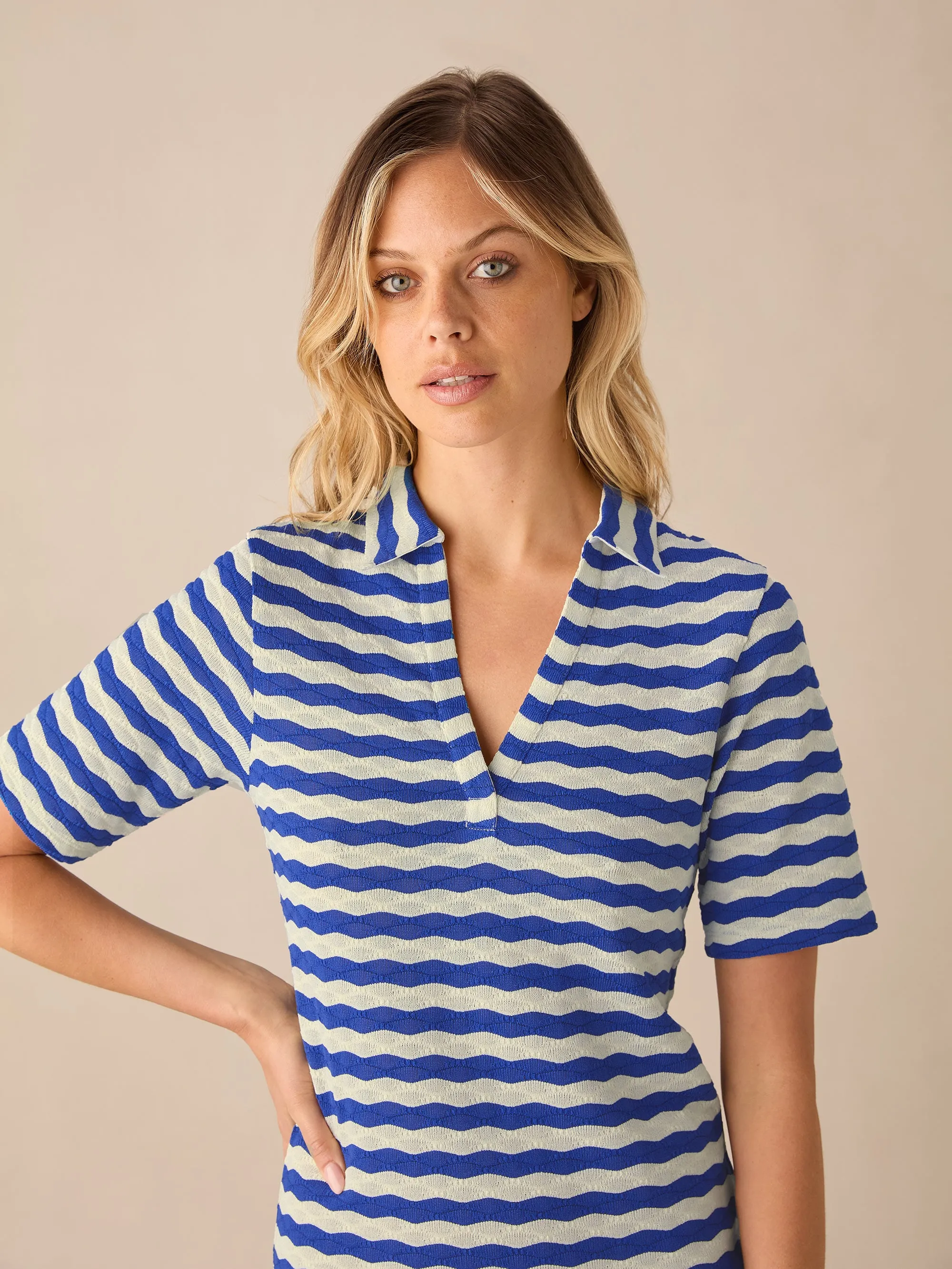 Petite Blue Stripe Knit Collared Dress