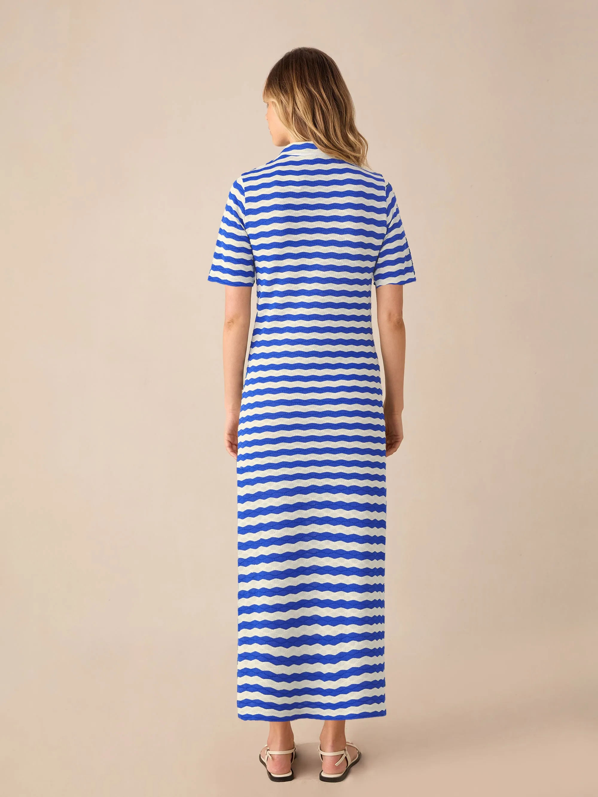 Petite Blue Stripe Knit Collared Dress